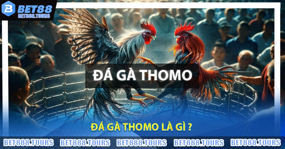 Đá Gà Thomo Là Gì ?