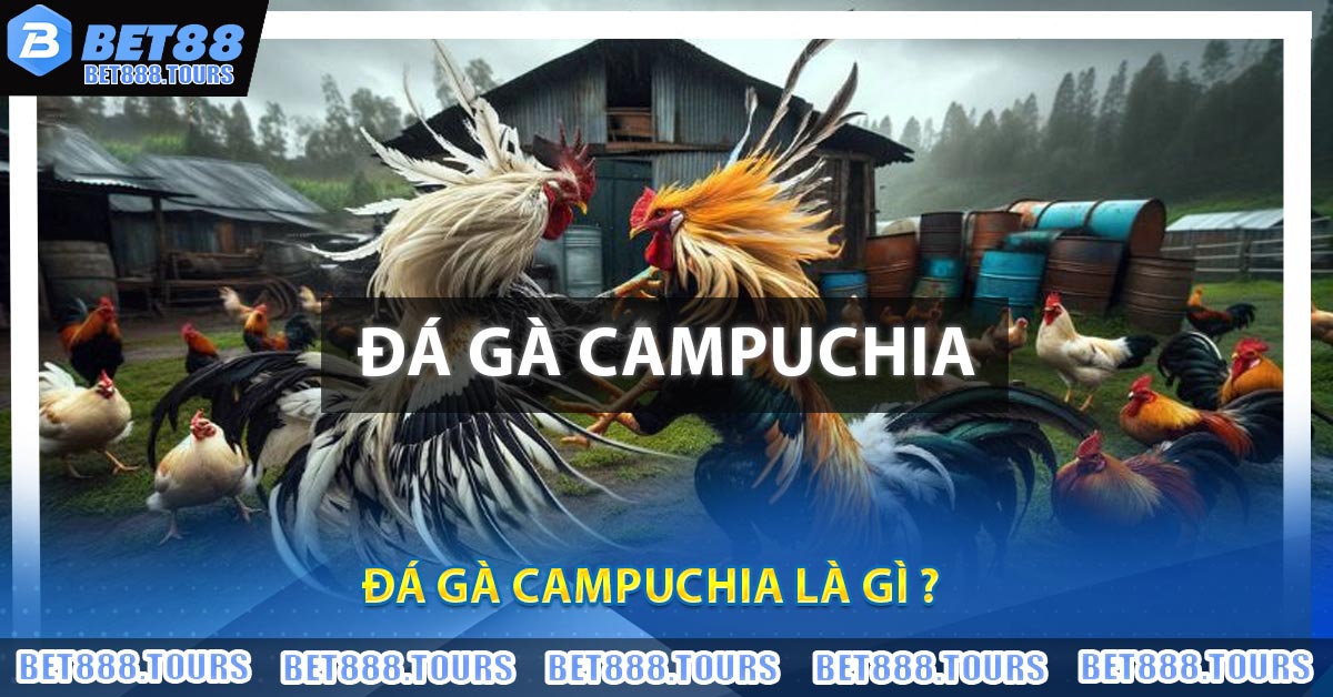 Đá Gà Campuchia Là Gì ?