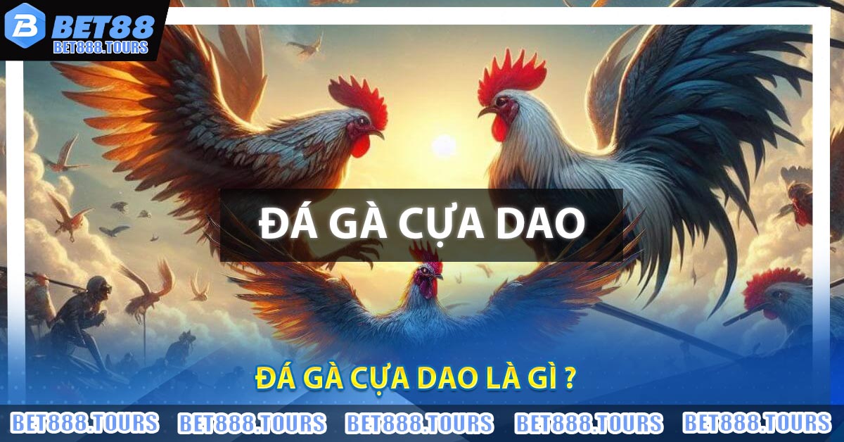 Đá Gà Cựa Dao Là Gì ?