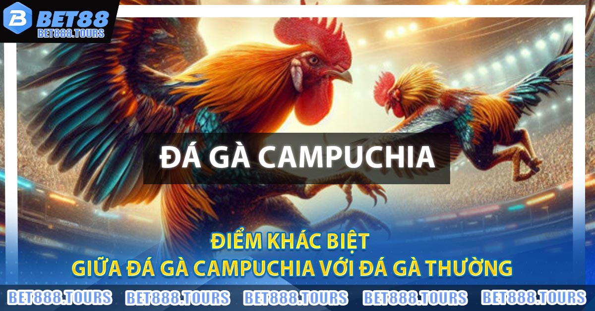 Điểm khác biệt giữa Đá Gà Campuchia với đá gà thường