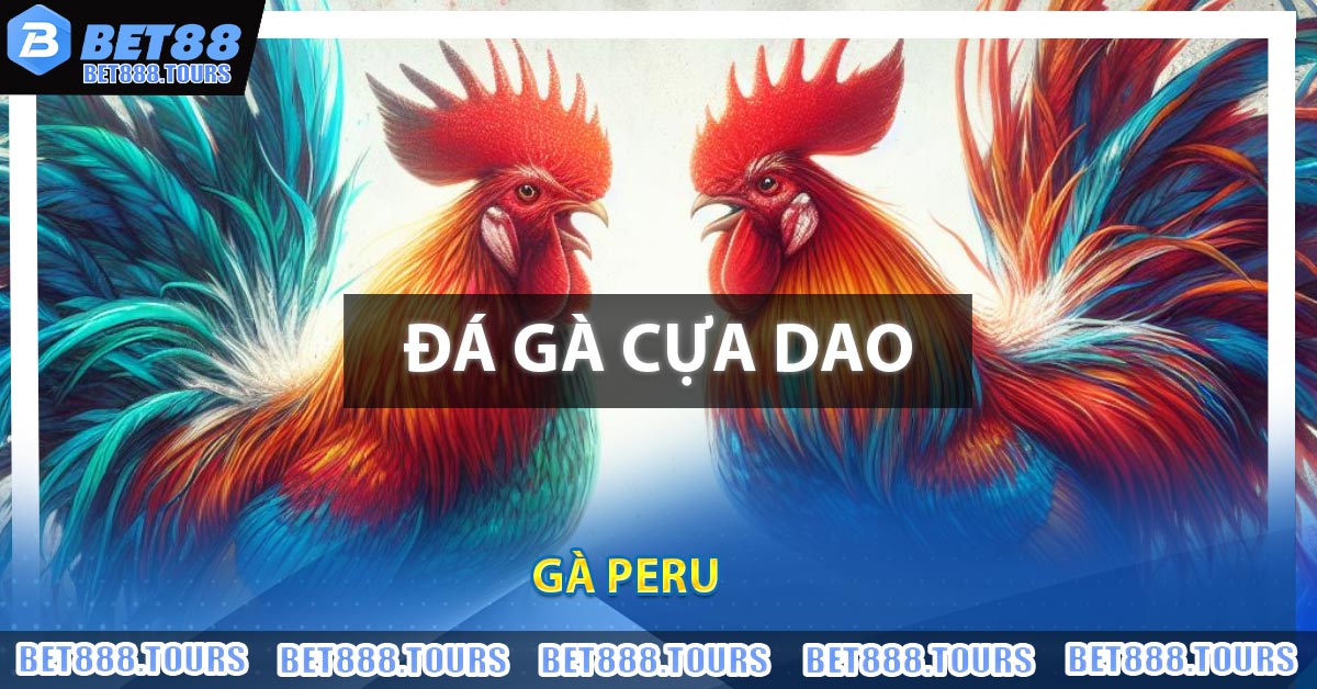 Gà Peru