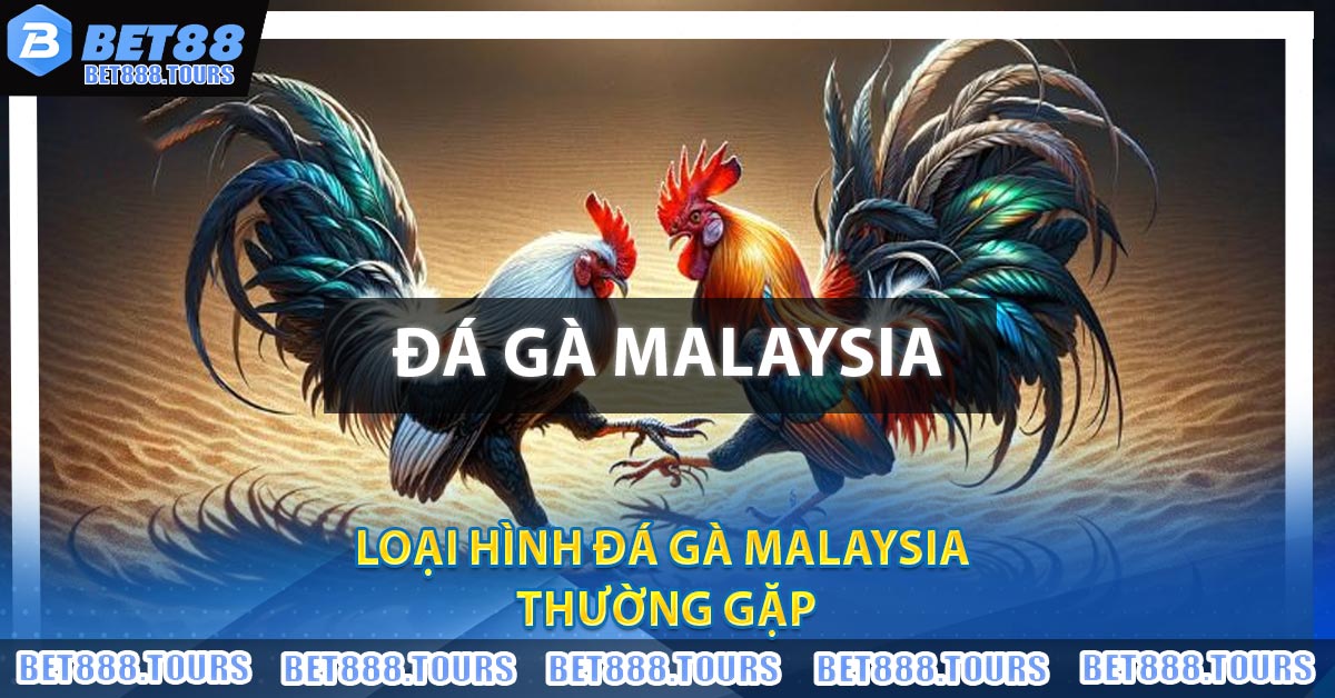 Loại hình Đá Gà Malaysia thường gặp