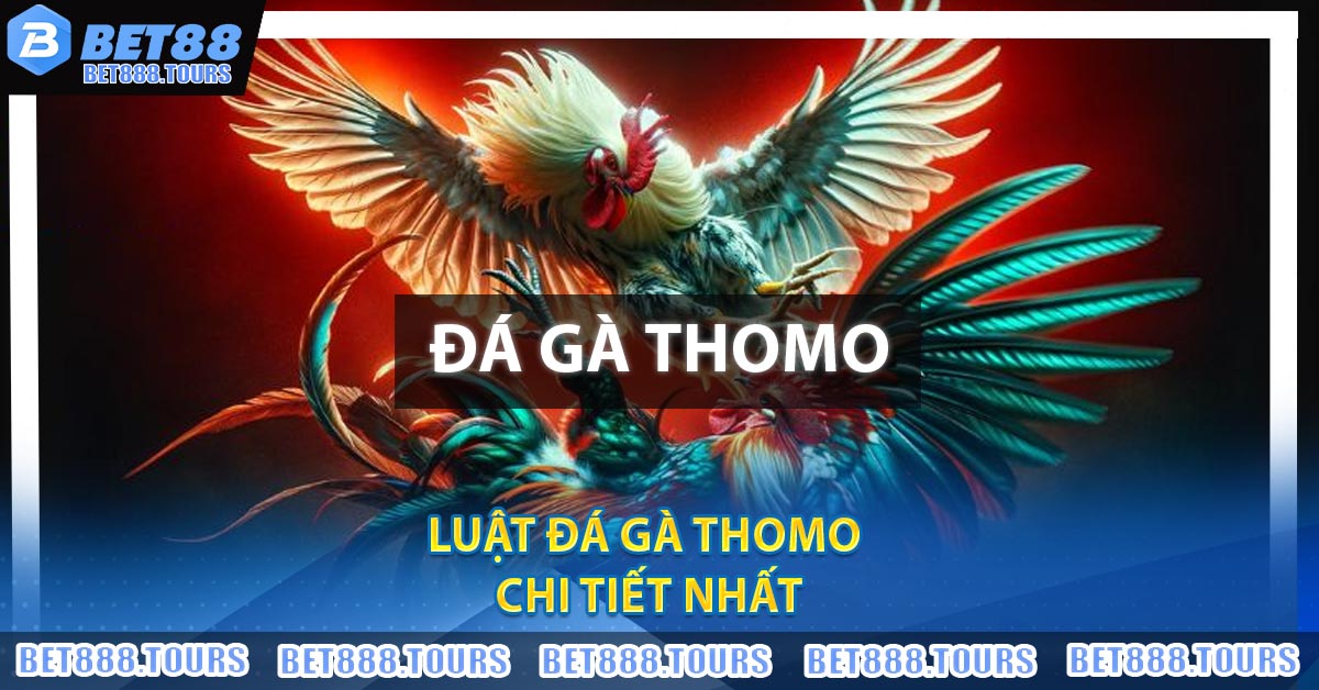 Luật Đá Gà Thomo chi tiết nhất