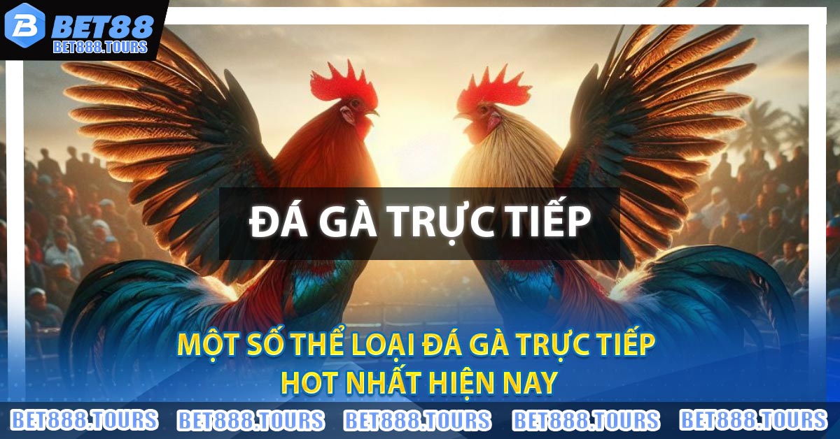 Một số thể loại Đá Gà Trực Tiếp hot nhất hiện nay